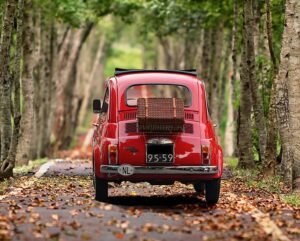 Une petite fiat 500 sur une route arborée partant en route vers l'horizon en contact avec la route